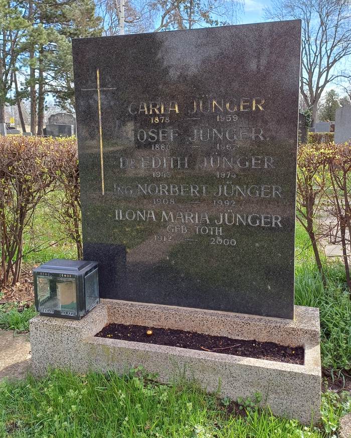 Grabstein am Zentralfriedhof vor der Neueinfärbung mit goldener Inschrift